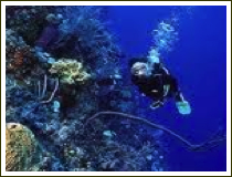 Turneffe Atoll Belize